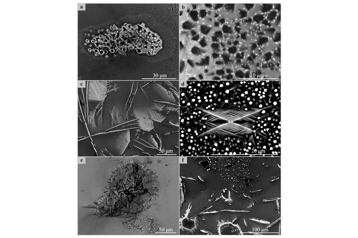 样品的电子显微镜图像，发表于《磁化学》