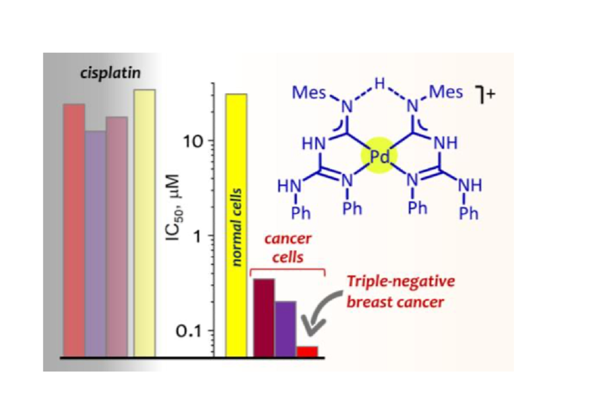 化合物耐久性与有效性参数。摘自《Chemistry — A European Journal》