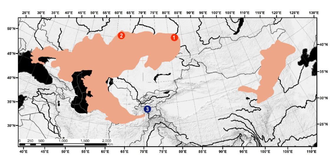 带取样地点的鼹形田鼠属分布图。© Molecular Biology Reports